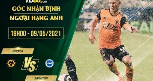 Soi kèo Wolves vs Brighton