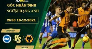 Soi kèo nhà cái Brighton vs Wolves