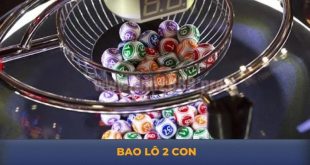 Bao Lô 2 Con Là Gì? Kinh Nghiệm Tối Ưu Hoá Chiến Thắng