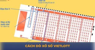 Cách Dò Xổ Số Vietlott Nhanh Chóng, Chính Xác Nhất