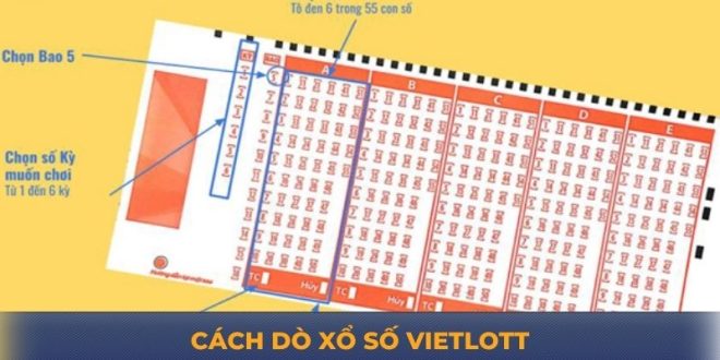 Cách Dò Xổ Số Vietlott Nhanh Chóng, Chính Xác Nhất