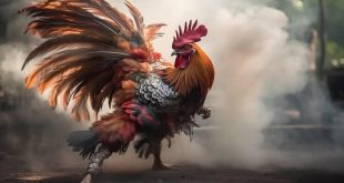 Chơi game hiệu quả hơn cùng các kinh nghiệm cá cược hiệu quả