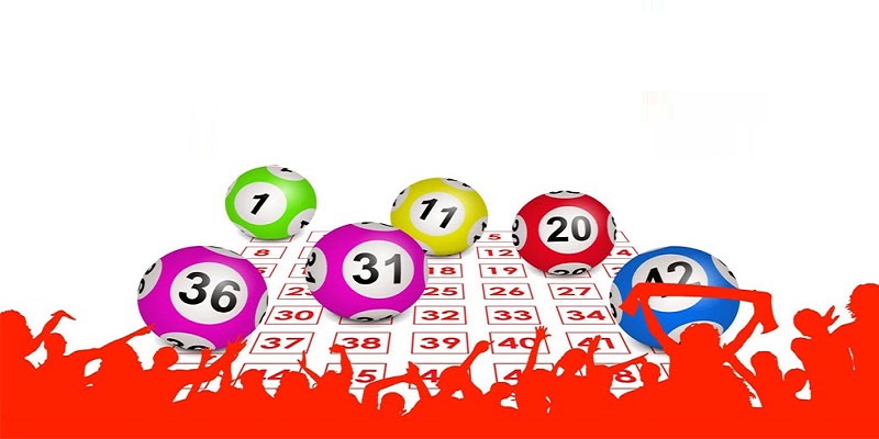 Cách áp dụng bóng số thu về lợi nhuận khủng