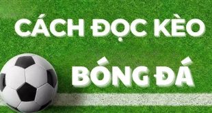 Cách Đọc Kèo Châu Á: Hướng Dẫn Chi Tiết Cho Người Mới Bắt Đầu