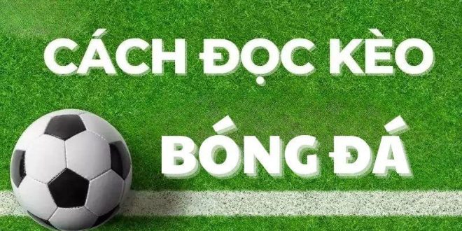 Cách Đọc Kèo Châu Á: Hướng Dẫn Chi Tiết Cho Người Mới Bắt Đầu