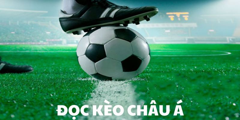 Cách đọc kèo châu Á là gì? Các thuật ngữ cơ bản