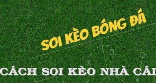 Kèo Tài Xỉu Nửa Trái Là Gì: Hướng Dẫn Chi Tiết Nhất