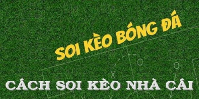 Kèo Tài Xỉu Nửa Trái Là Gì: Hướng Dẫn Chi Tiết Nhất