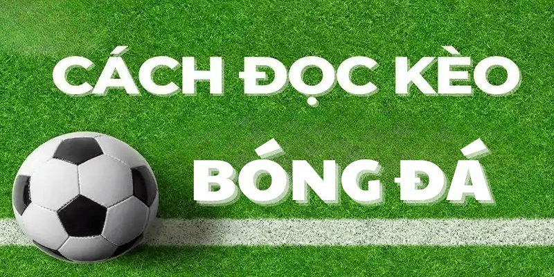 Các loại kèo tài xỉu 0.5 phổ biến