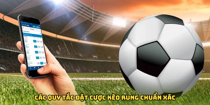 Các quy tắc đặt cược kèo rung chuẩn xác