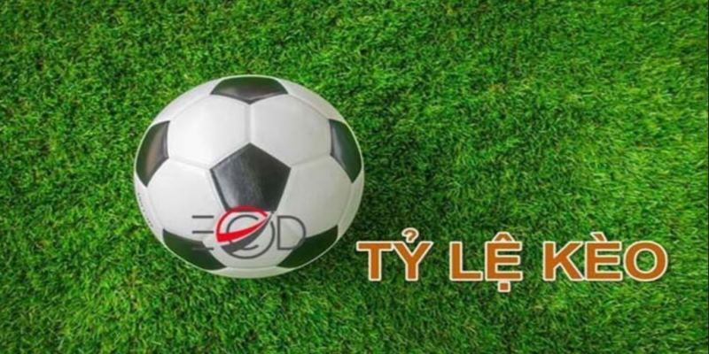 Kinh nghiệm soi tỷ lệ kèo bóng đá bất bại từ cao thủ