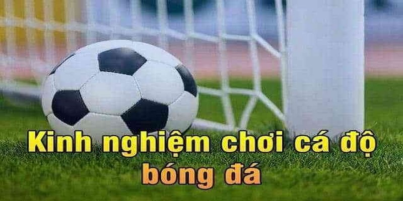 Hướng dẫn soi kèo bóng đá ngày hôm nay hiệu quả