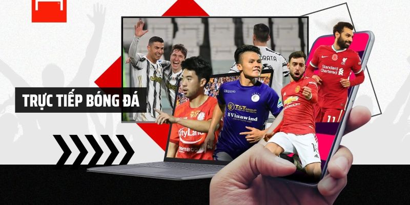 Tổng hợp các giải bóng