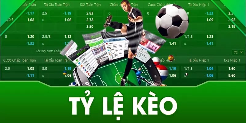 Cách xem tỷ lệ kèo chuẩn từ A - Z cho tân binh