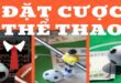 Top 5+ Cách Cá Cược Thể Thao Hiệu Quả Cho Người Mới Chơi