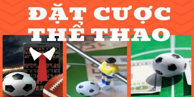 Top 5+ Cách Cá Cược Thể Thao Hiệu Quả Cho Người Mới Chơi