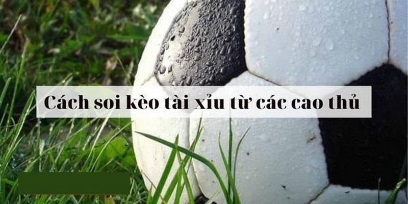 Hướng dẫn cách đọc kèo cược tài xỉu trong bóng đá