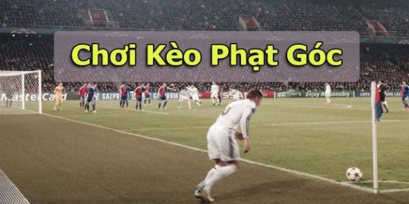 Bỏ túi vài mẹo hay giúp cá cược kèo phạt góc hiệu quả