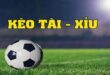 Kèo Tài Xỉu Là Gì? Hướng Dẫn Cách Tính Kèo Chuẩn Cho Tân Thủ