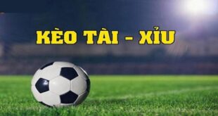 Kèo Tài Xỉu Là Gì? Hướng Dẫn Cách Tính Kèo Chuẩn Cho Tân Thủ