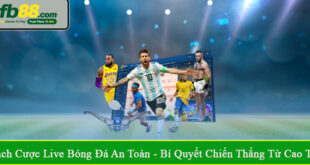 cách cược live bóng đá an toàn