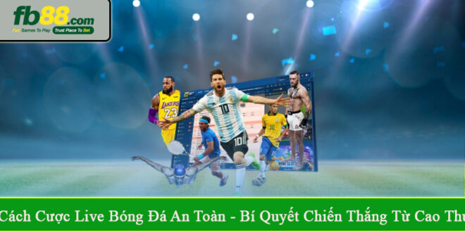 cách cược live bóng đá an toàn