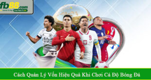cách quản lý vốn hiệu quả khi chơi cá độ bóng đá
