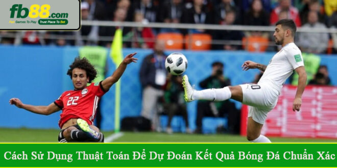 Cách sử dụng thuật toán để dự đoán kết quả bóng đá