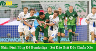 nhận định bóng đá Bundesliga