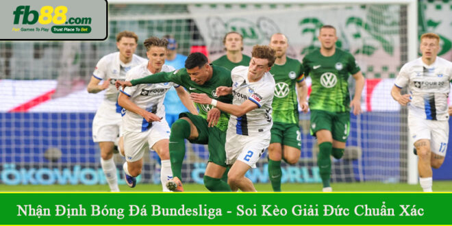 nhận định bóng đá Bundesliga
