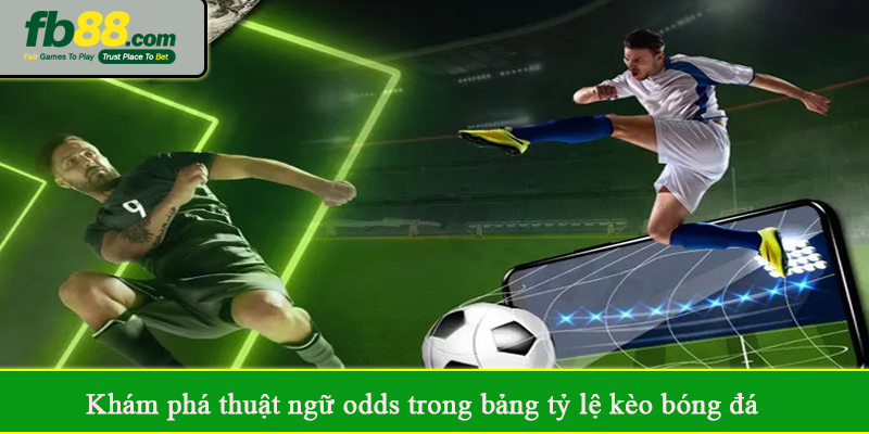 Khám phá thuật ngữ odds trong bảng tỷ lệ kèo bóng đá
