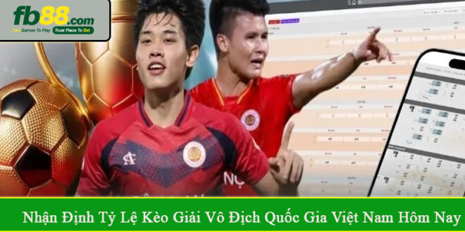 nhận định tỷ lệ kèo giải vô địch quốc gia Việt Nam