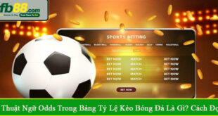 thuật ngữ odds trong bảng tỷ lệ kèo bóng đá
