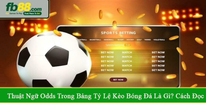 thuật ngữ odds trong bảng tỷ lệ kèo bóng đá