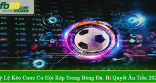 tỷ lệ kèo cược cơ hội kép trong bóng đá