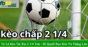 tỷ lệ kèo tài xỉu 2 1/4 trái