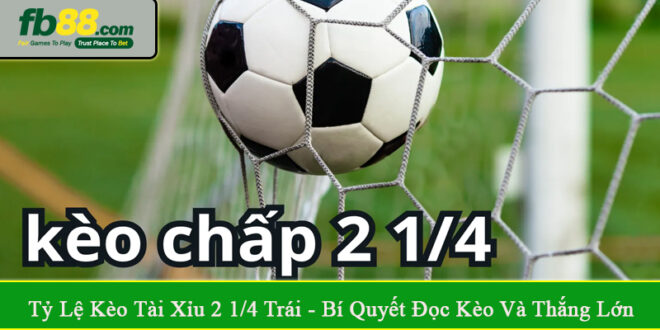 tỷ lệ kèo tài xỉu 2 1/4 trái