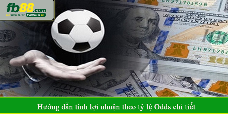 Hướng dẫn tính lợi nhuận theo tỷ lệ Odds chi tiết