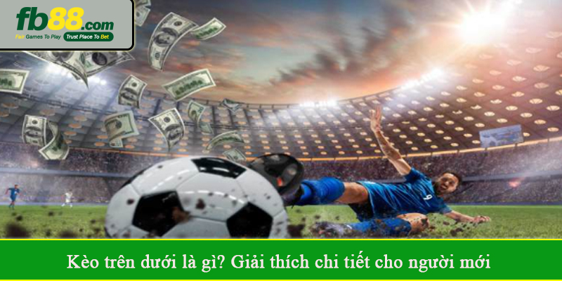 Kèo trên dưới là gì? Giải thích chi tiết cho người mới